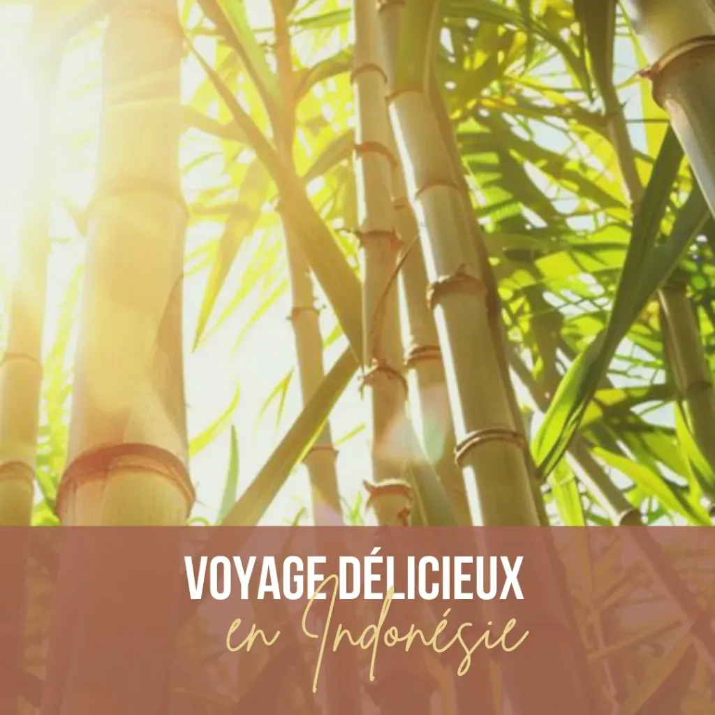 Voyage Délicieux Indonésie - Rituel d’Évasion Sensorielle - 1h45