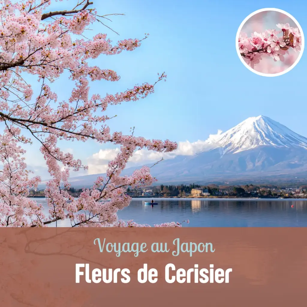 Voyages de Luxe - 2h30 (Voyage au Japon : Fleurs de Cerisier, Pas de sauna)