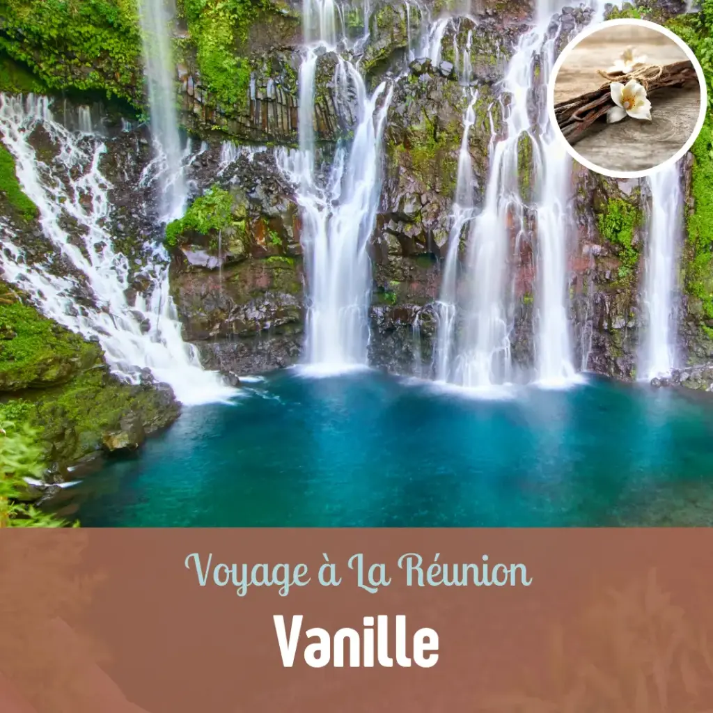 Voyages au Bout du Monde - 2h  (Voyage à La Réunion : Vanille, Pas de sauna)