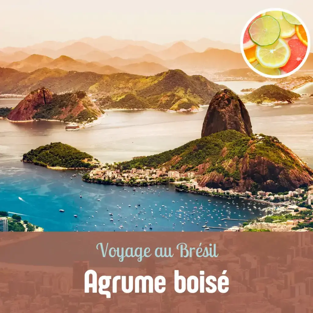 [PROMO] Voyage de Rêve Captivant au Brésil - 1h30